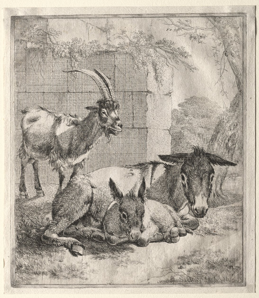Kecske és szamarak. alkotó: Johann Heinrich Roos
