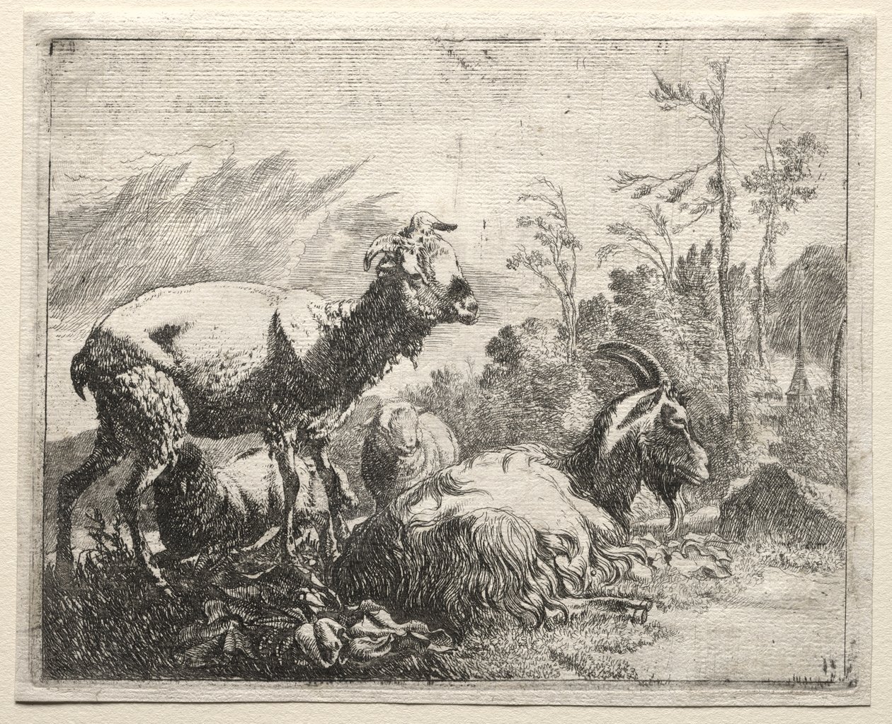 Kecske alkotó: Johann Heinrich Roos