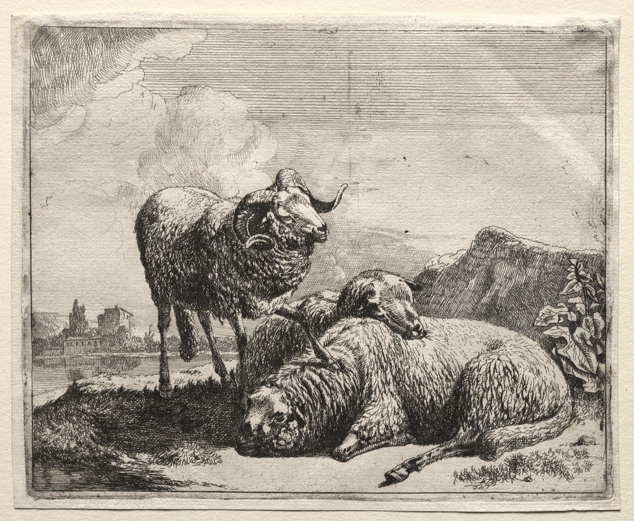 Kos és két bárány alkotó: Johann Heinrich Roos