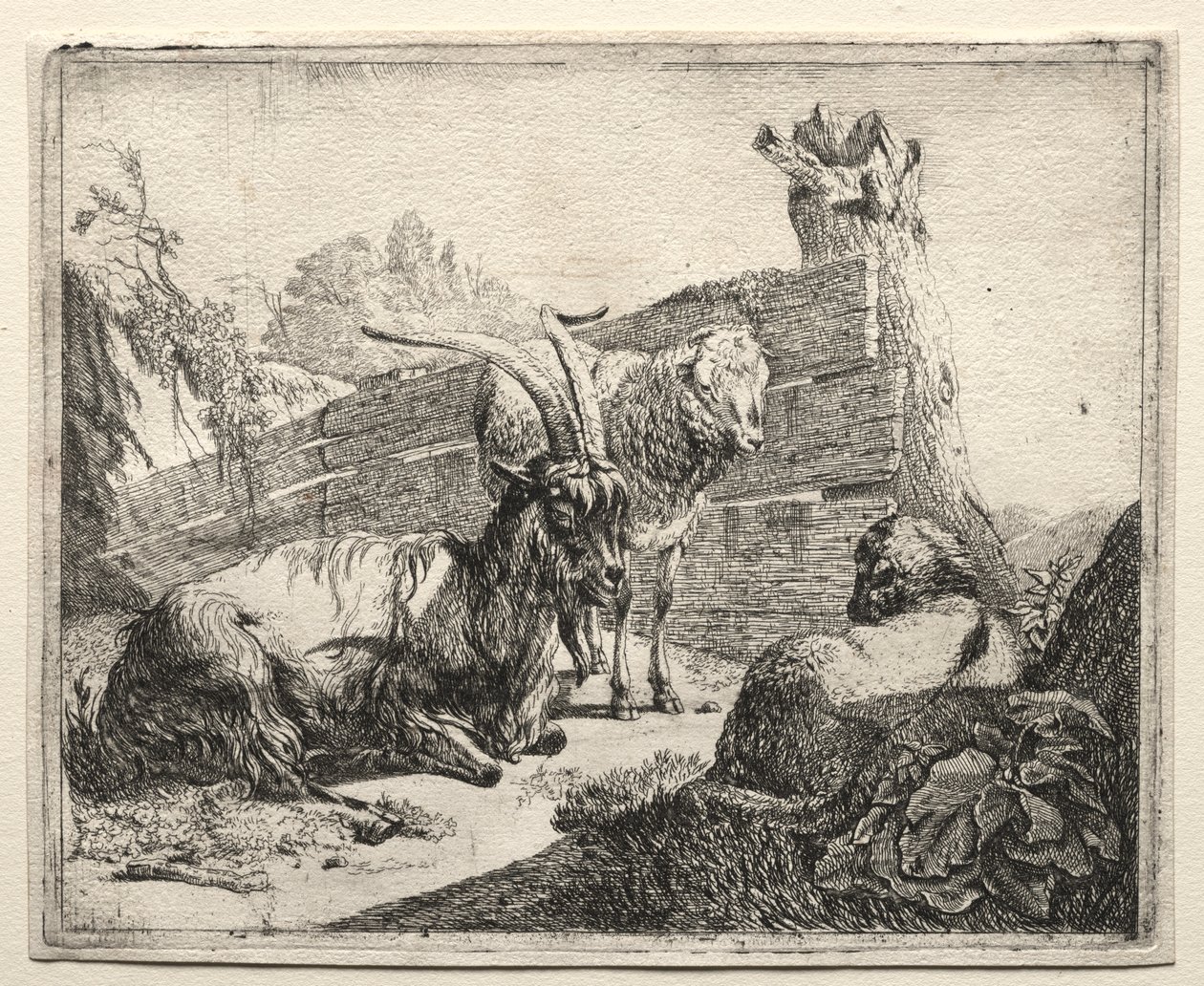 A sövény alkotó: Johann Heinrich Roos