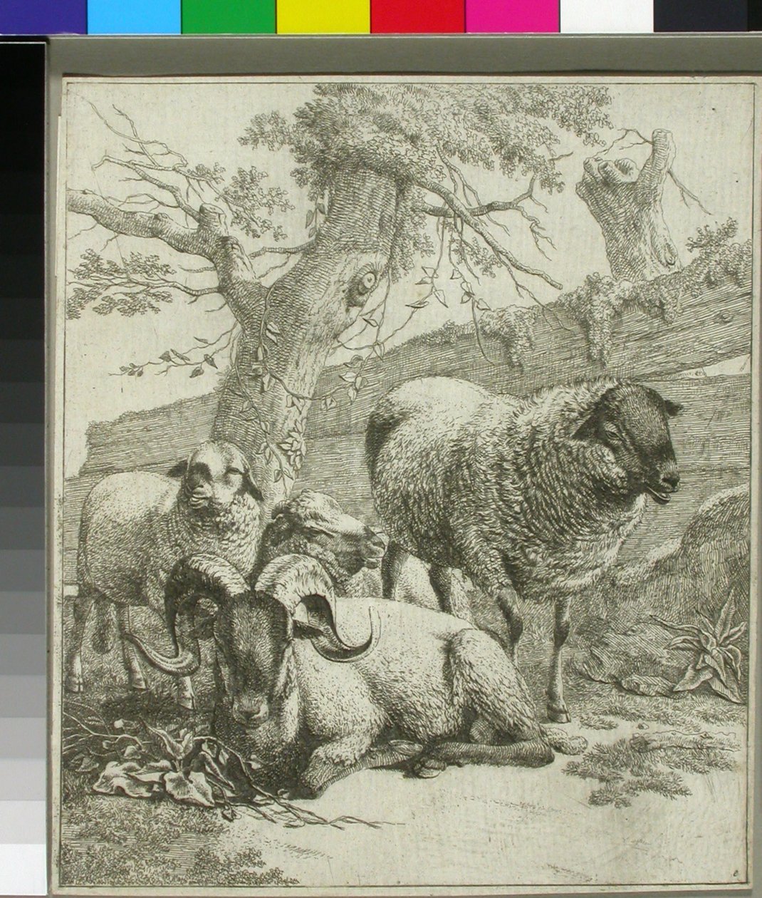 Ohne Titel alkotó: Johann Heinrich Roos