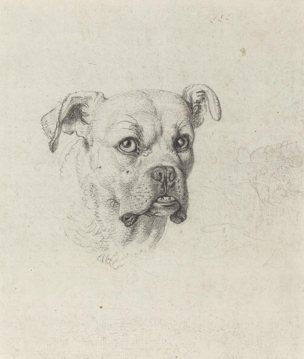 Egy Boxer alkotó: Johann Heinrich Wilhelm Tischbein