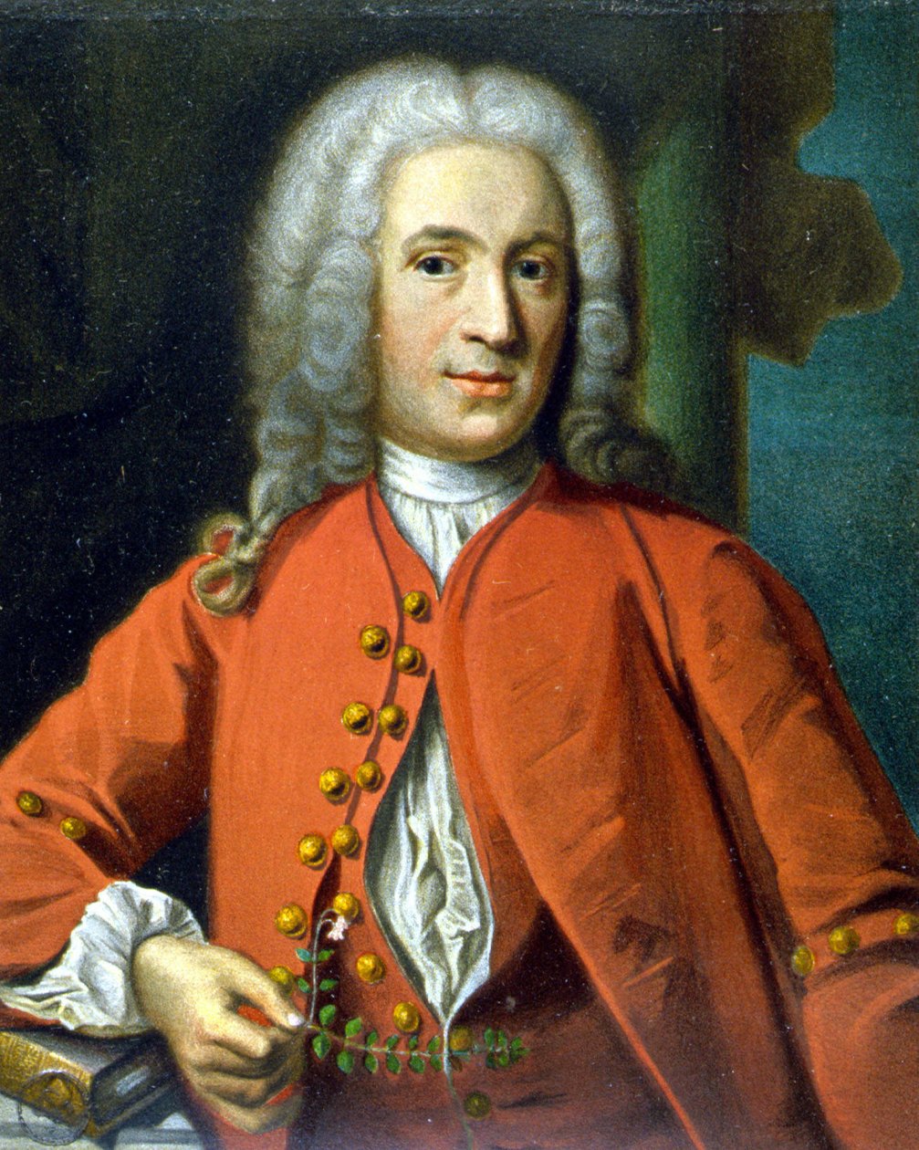 Carl Von Linné svéd természettudós és író (1707-1778) – J. H. Scheffel, Tycho Tullberg "Linné portréjában" alkotó: Johann Henrik Scheffel
