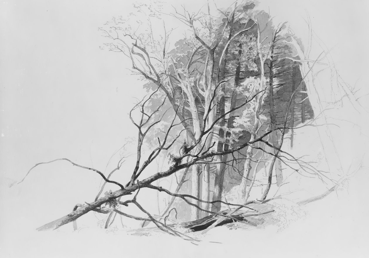Erdei jelenet, . alkotó: Johann Hermann Carmiencke