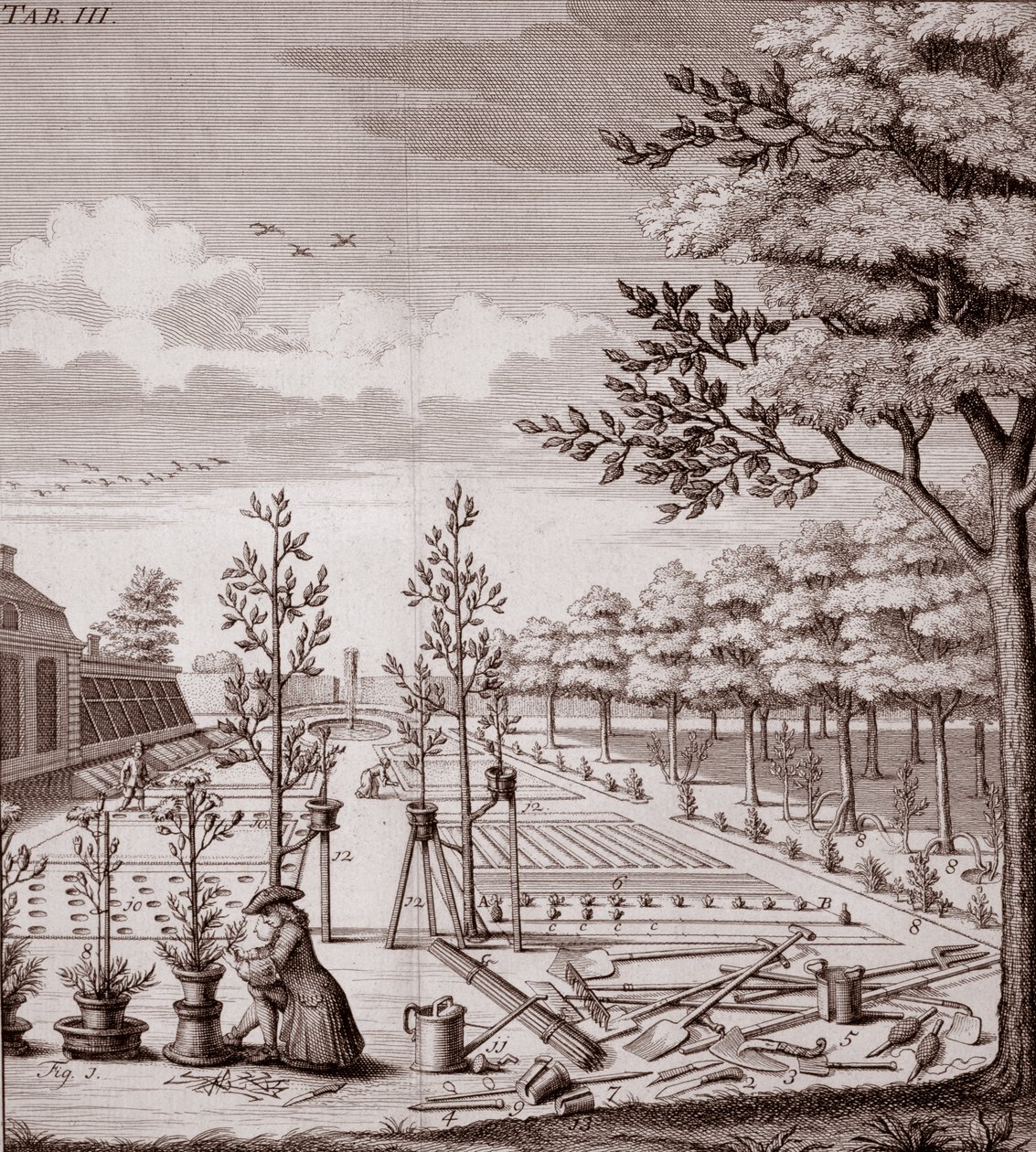 Egy kerti jelenet illusztrációja, 1753 alkotó: Johann Hermann Knoop