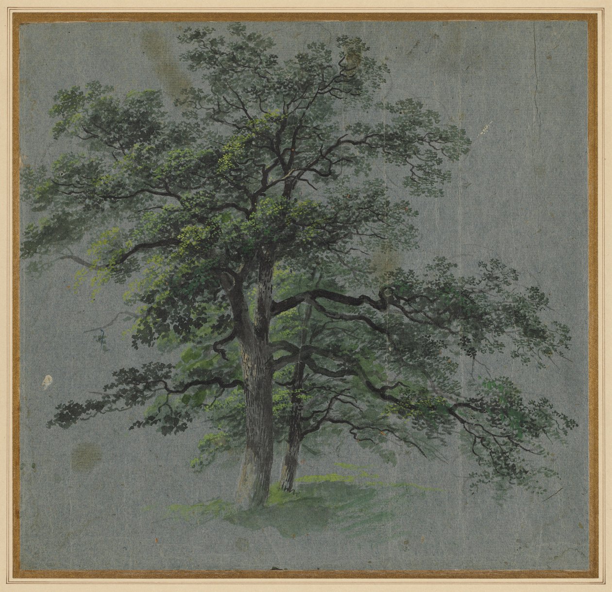 Két fa, 1800-as évek első fele. alkotó: Johann Jacob Dorner