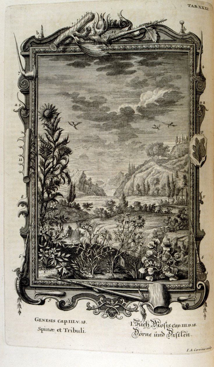 Rézmetszet a 