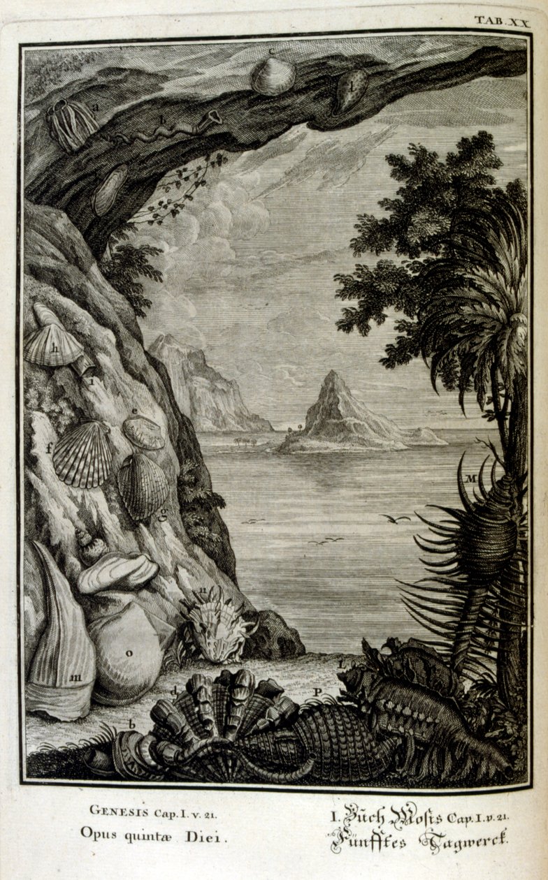 Rézmetszet a 
