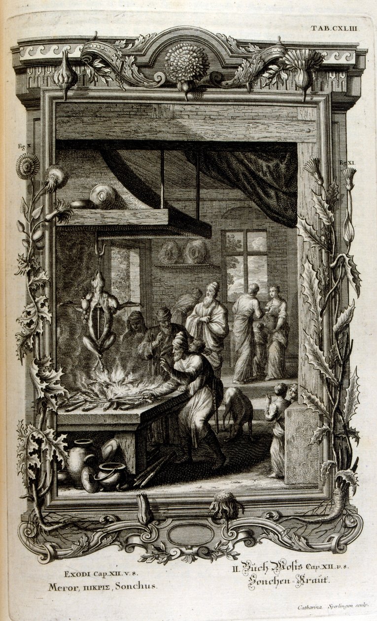 Illusztráció a Szent fizika vagy a Biblia természettörténetéből alkotó: Johann Jakob Scheuchzer