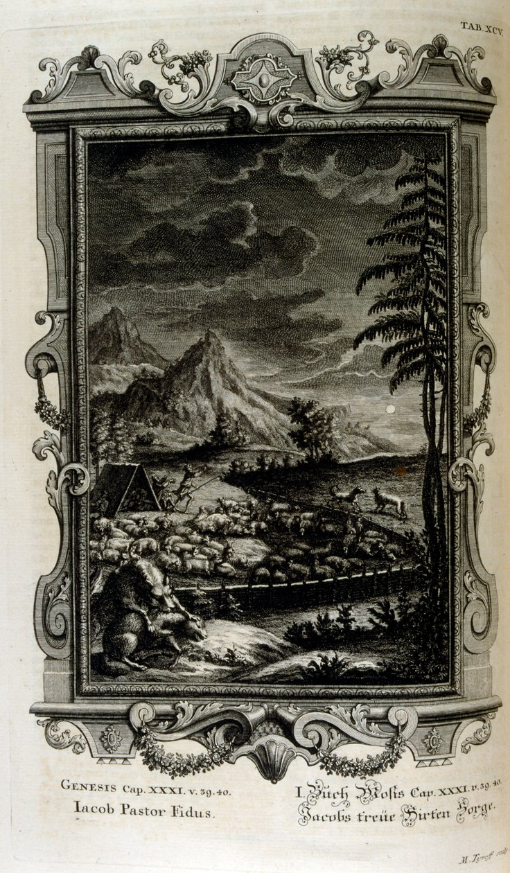 Jacobs mezők alkotó: Johann Jakob Scheuchzer