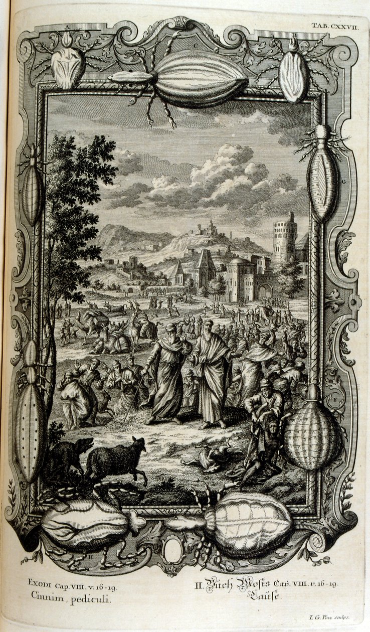 Tetvek és szúnyogok járványa alkotó: Johann Jakob Scheuchzer