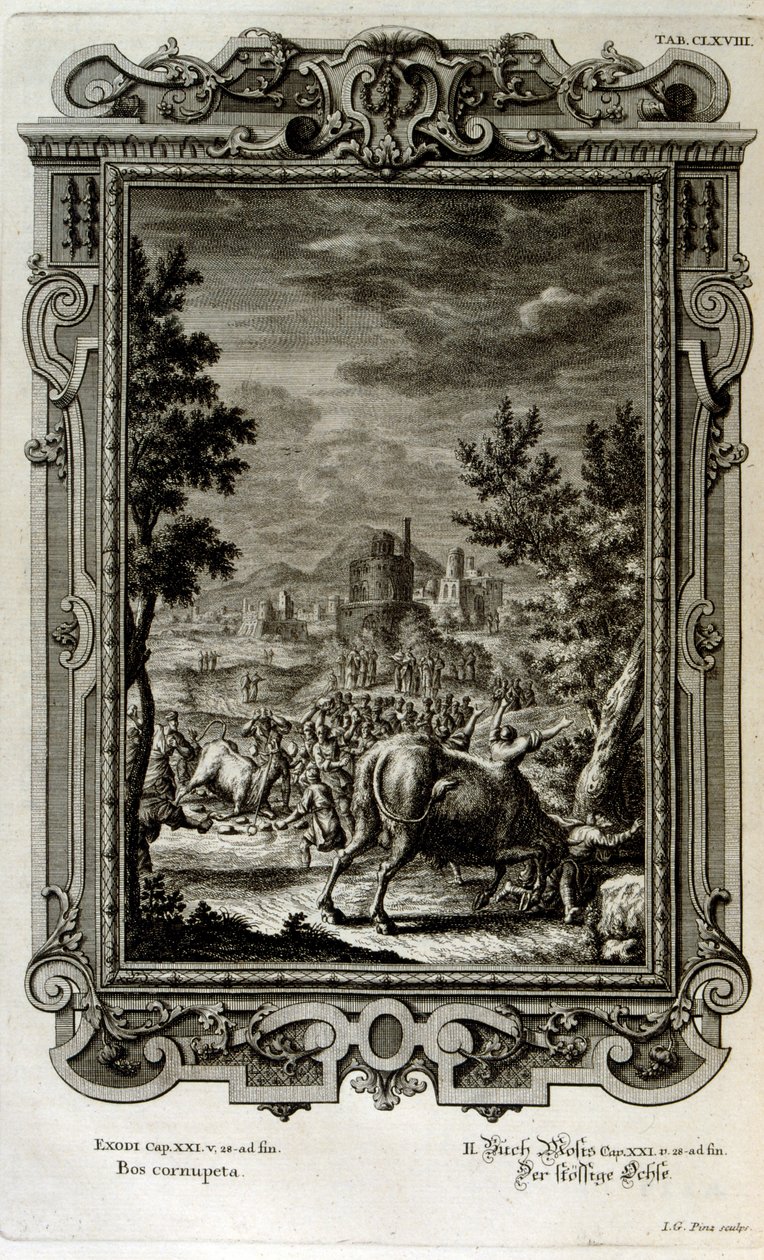 Vad bikák feláldozása alkotó: Johann Jakob Scheuchzer