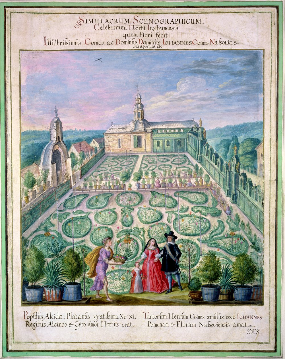 Holland kert, a „Nassau Florilegium”-ból, 1650 alkotó: Johann Jakob Walther