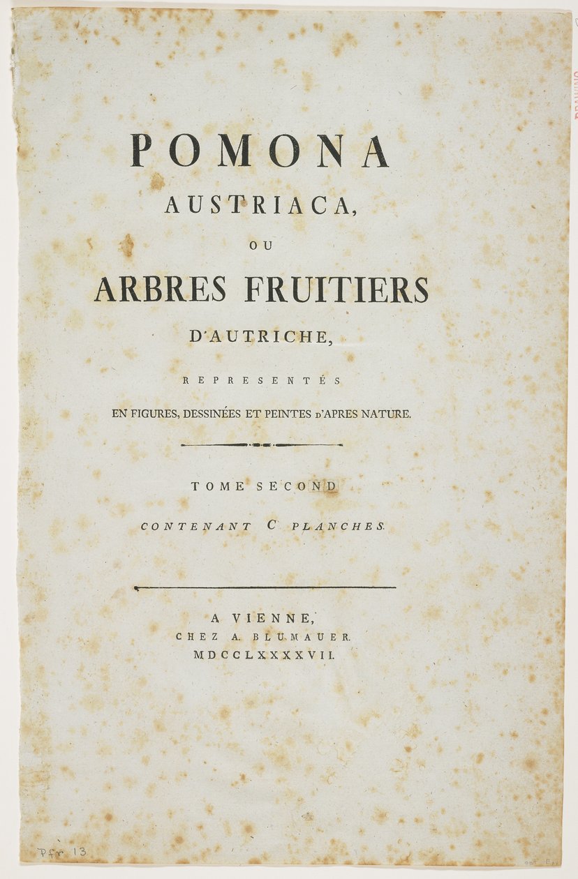 Címlap a „Pomona Austriaca, avagy osztrák gyümölcsfák” című könyvből, 1787-96 (nyomtatás) alkotó: Johann Kraft