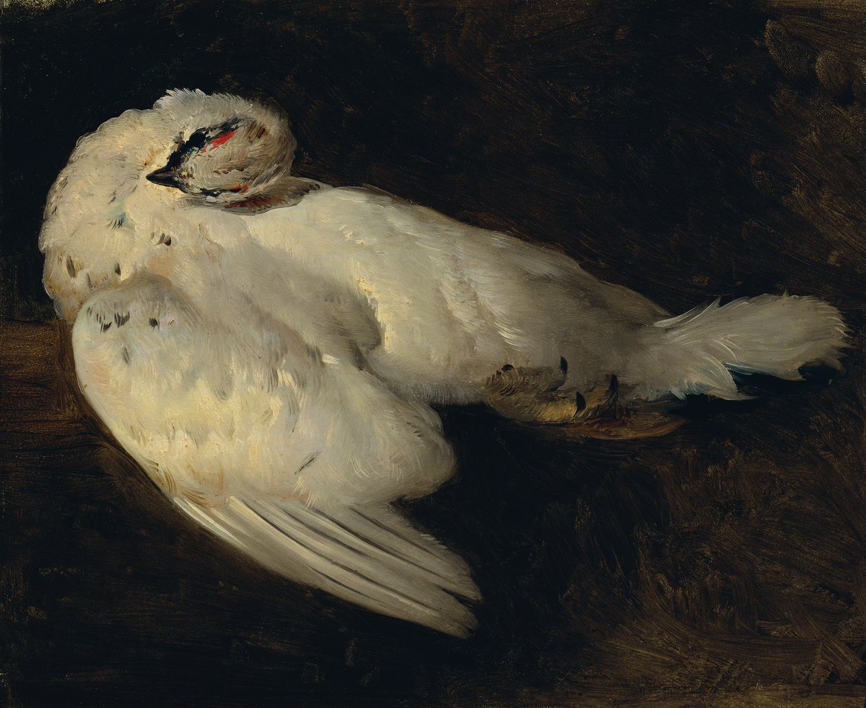 halott ptarmigan alkotó: Johann Matthias Ranftl
