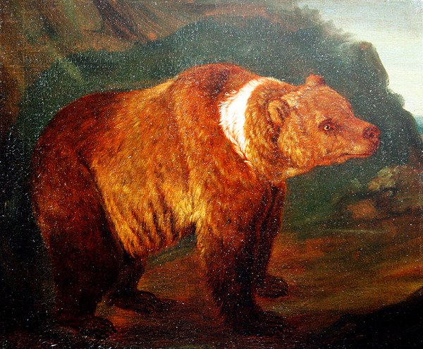Barna medve a tájban, 1719 körül (olaj, vászon) alkotó: Johann Melchior Roos