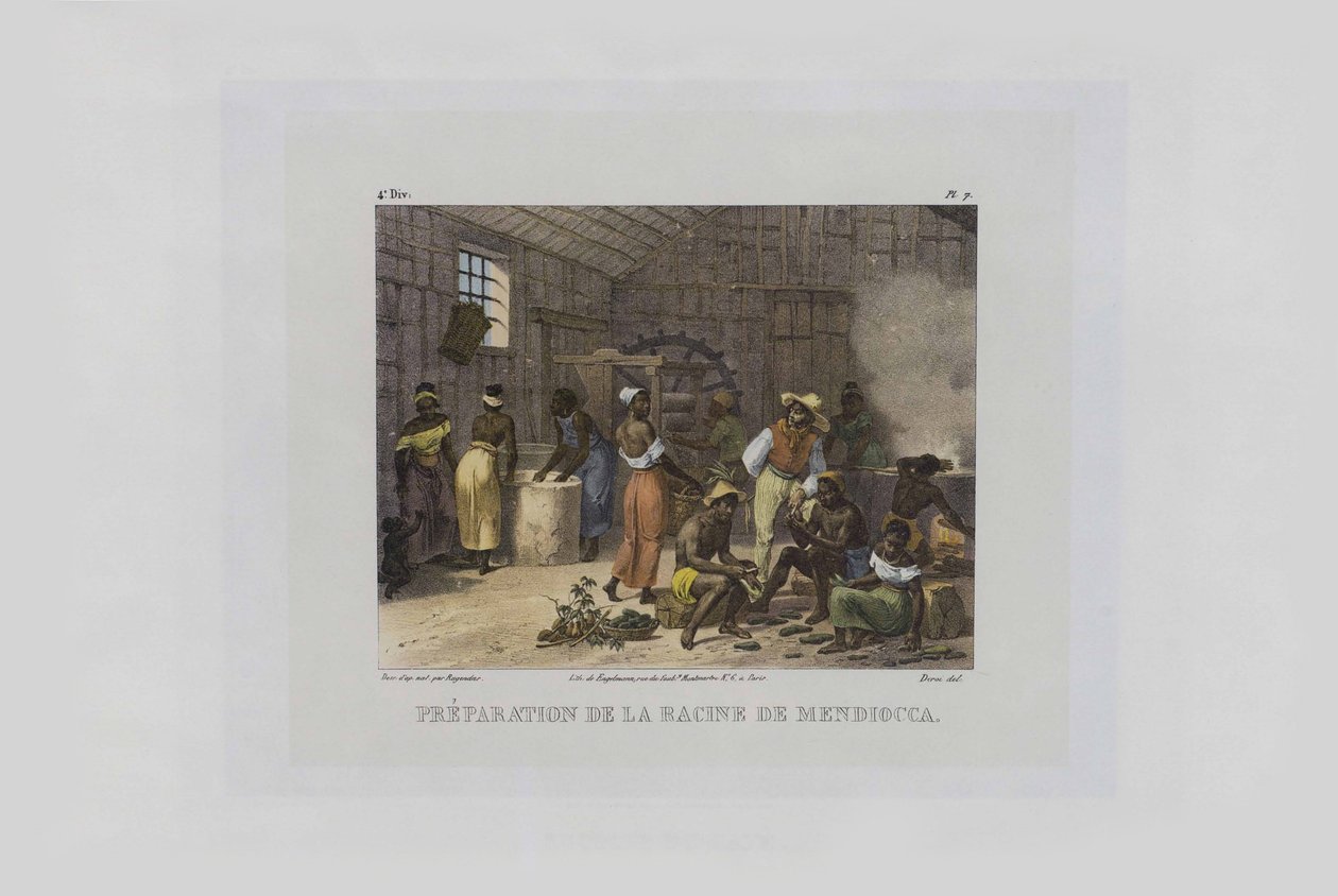 Mandioka gyökereinek előkészítése. A brazil festői utazásokból, 1830-1835. alkotó: Johann Moritz Rugendas
