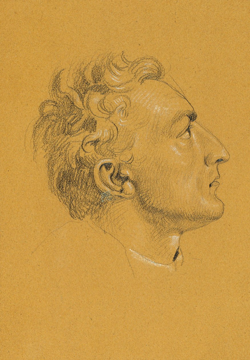 Tanulmányvezető a "Franz császár visszatérése Pressburgból" alkotó: Johann Peter Krafft