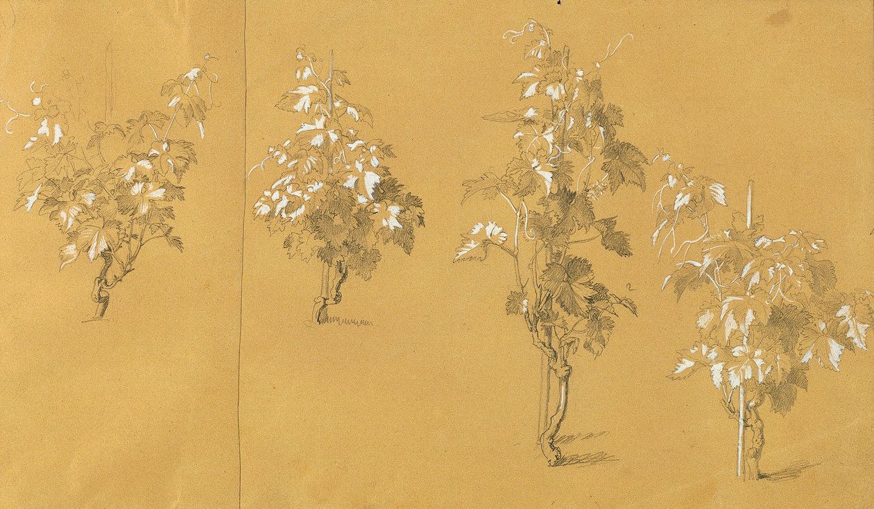 Weinstock, „Hermann és Dorothea a szőlőskertben” című tanulmánya alkotó: Johann Peter Krafft