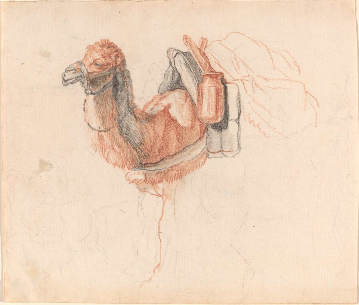 Teve alkotó: Johann Rudolph Schellenberg