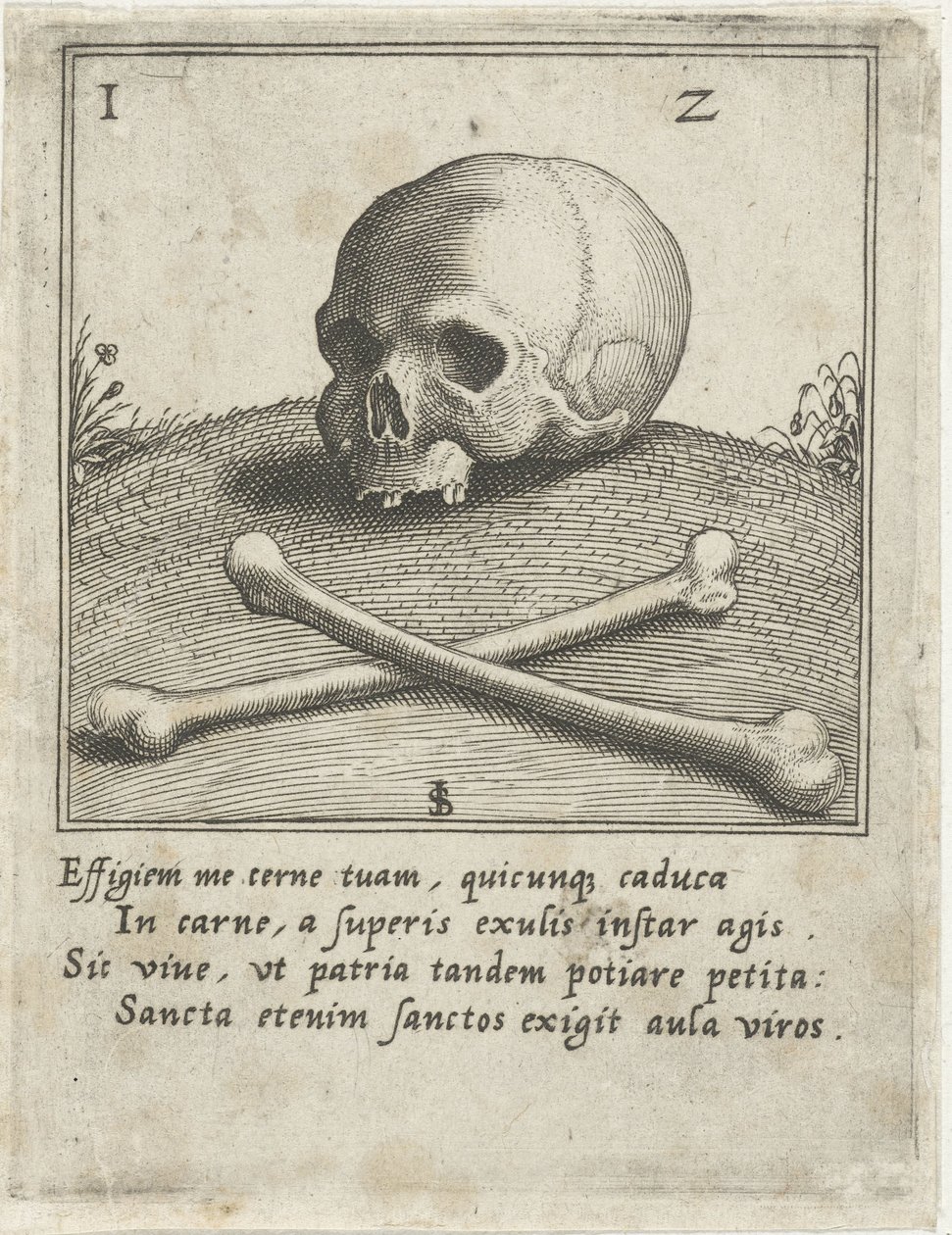 Vanitas Ábrázolás koponyával és két csonttal alkotó: Johann Sadeler (I)
