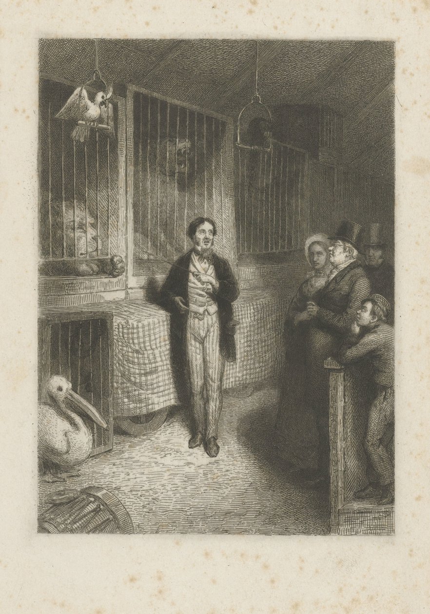 Állatokat nézni alkotó: Johann Wilhelm Kaiser (I)