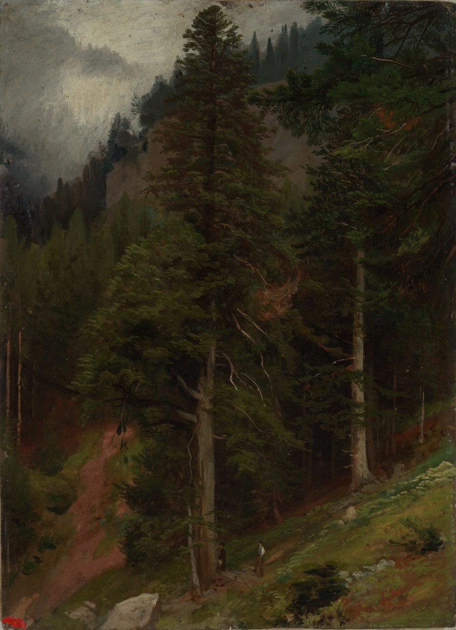 Lejtő a fenyvesben alkotó: Johann Wilhelm Schirmer