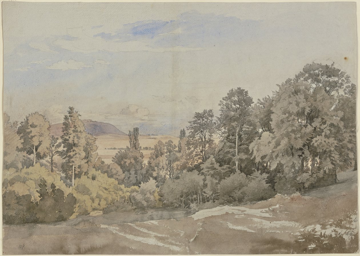 Erdő távoli kilátással alkotó: Johann Wilhelm Schirmer