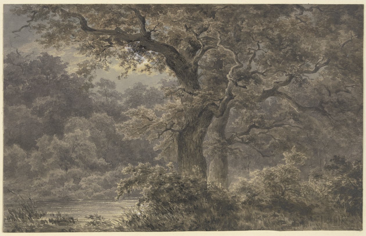 Tölgyfák az erdőben alkotó: Johann Wilhelm Schirmer