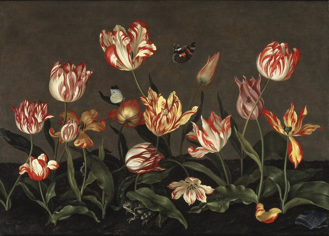 Nature morte avec des tulipes – Csendélet tulipánokkal, Bosschaert, Johannes (kb. 1610-kb. 1650). Olaj, fa. Mérete: 46x64 cm. Nemzeti Múzeum Stockholm alkotó: Johannes Bosschaert