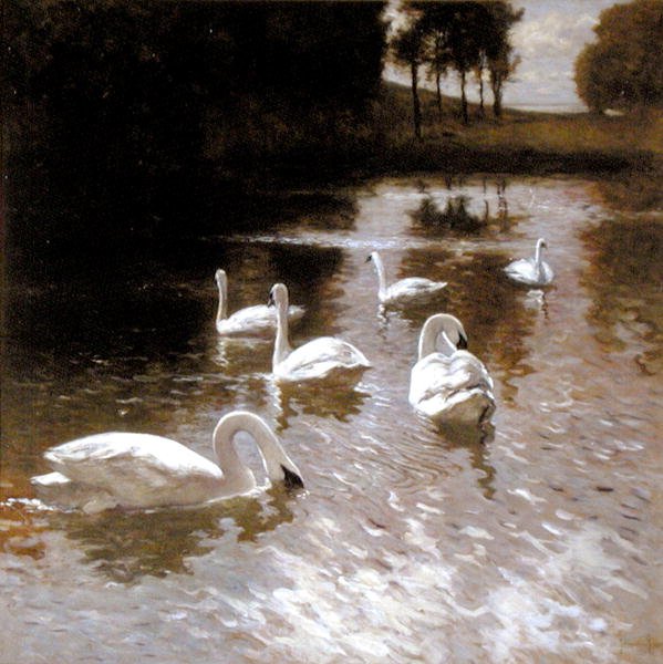 Hattyúk a tavon, 1890 körül (olaj, vászon) alkotó: Johannes Cornelis van Essen