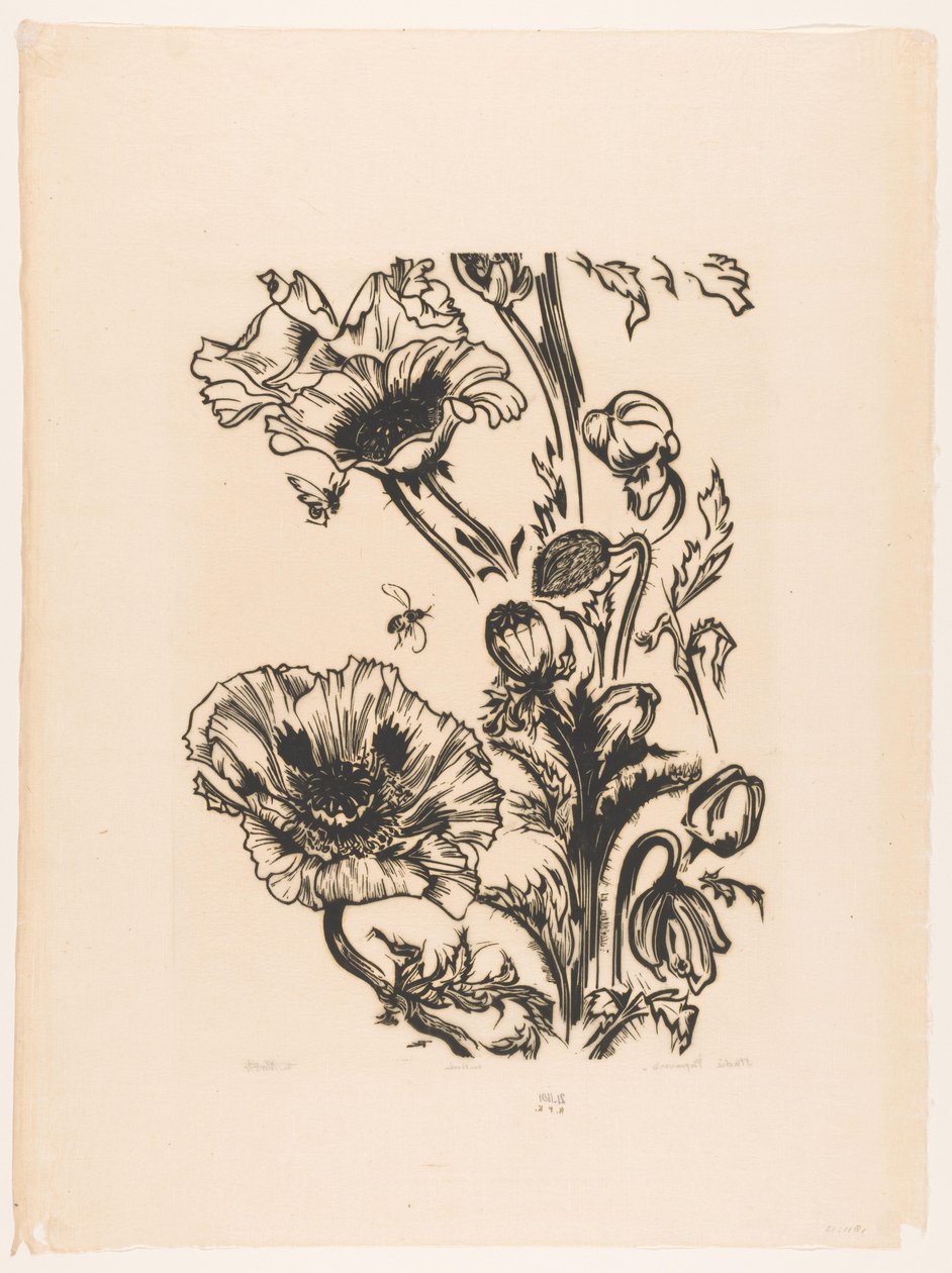 Studie papavers (eredeti cím a tárgyon) alkotó: Johannes Frederik Engelbert ten Klooster (signed by artist)