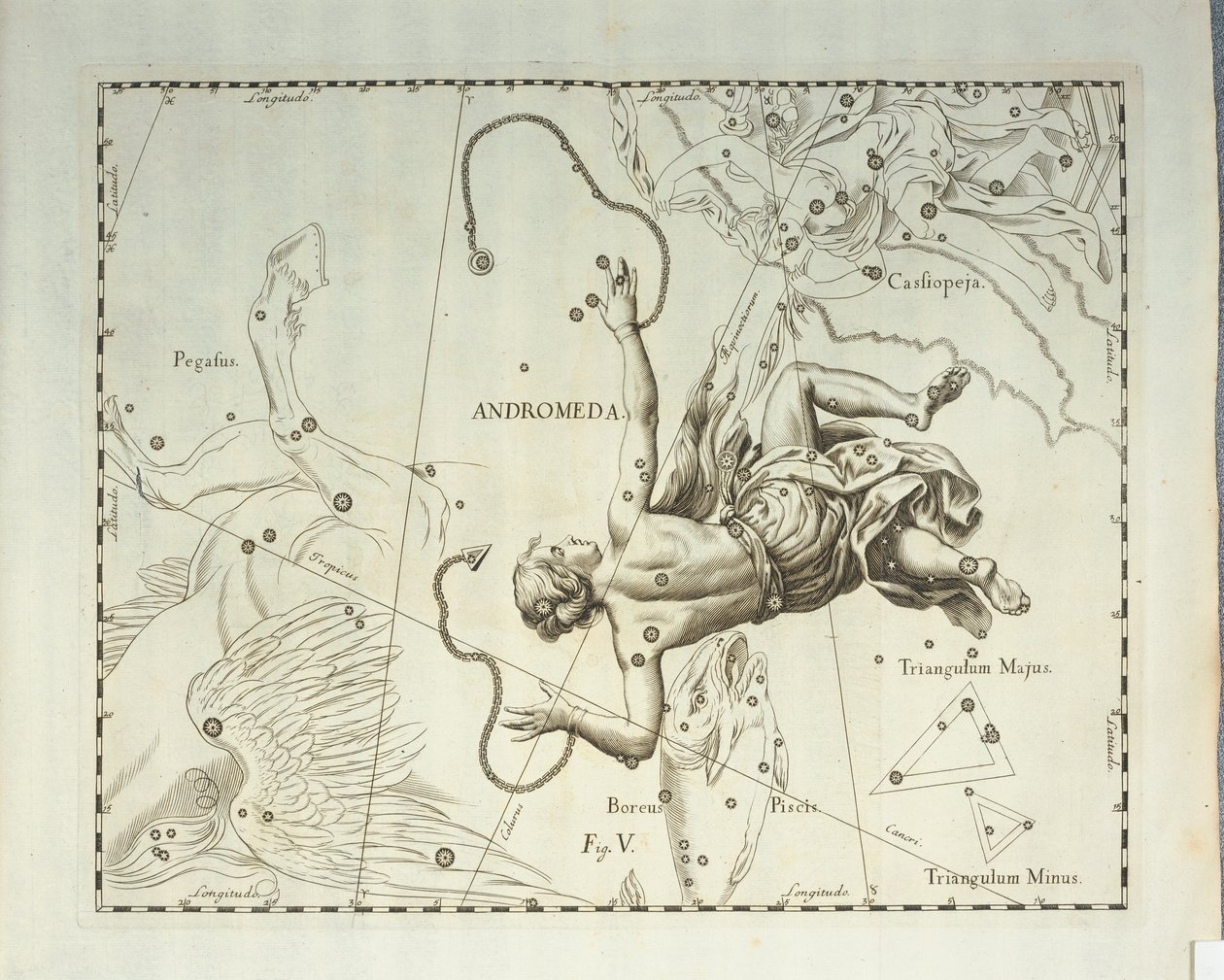 Boreális Androméda csillagkép, metszet a Firmamentum Sobiescianum sive Uronographia égi atlaszból, Johann Hevelius (1611-1687), Gdansk alkotó: Johannes Hevelius