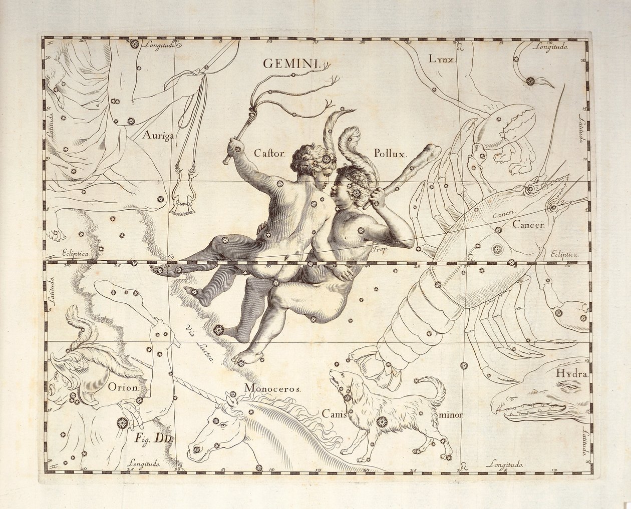 Ikrek-csillagkép, metszet a Firmamentum Sobiescianum sive Uronographia égi atlaszból, Johann Hevelius (1611-1687), Gdansk alkotó: Johannes Hevelius