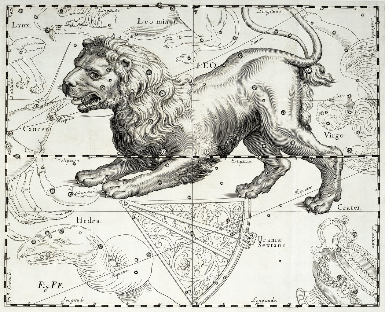 Oroszlán, Oroszlán csillagkép, az illusztráció Johann Hevelius (1611-1687) csillagatlaszából, Firmamentum Sobiescianum sive Uranographia, Gdansk alkotó: Johannes Hevelius