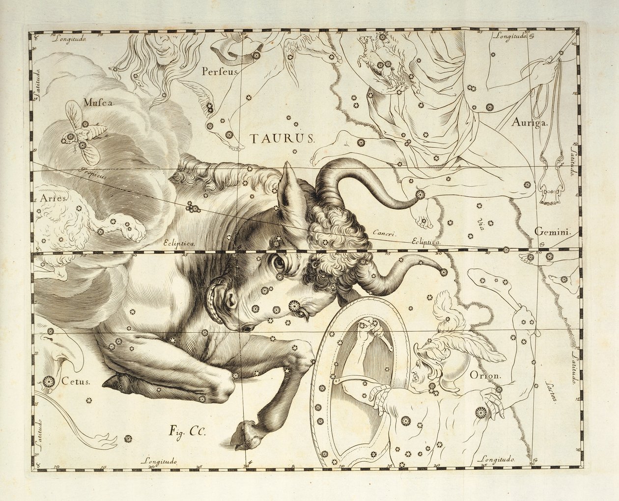 Bika, Bika csillagkép, metszet a Firmamentum Sobiescianum sive Uronographia égi atlaszból, Johann Hevelius (1611-1687), Gdansk alkotó: Johannes Hevelius
