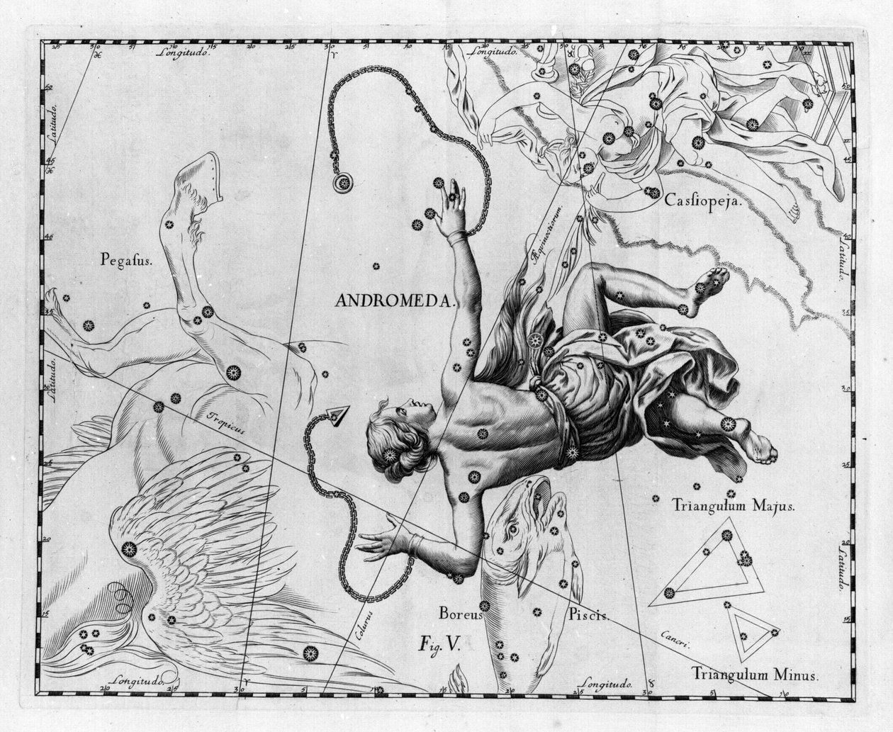 Az Androméde csillagkép. Johannes Hevelius vagy Hevel (1611-1687) "The Firmament of Sobiescanum vagy Uranography" című táblája alkotó: Johannes Hevelius