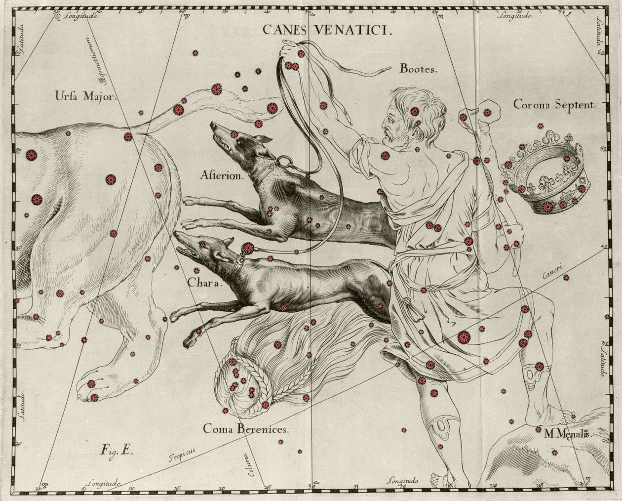 A Canes Venatici csillagkép, vadászkutyák. Johannes Hevelius vagy Hevel (1611-1687) „Firmamentum Sobiescanum sive Uranographia” című táblája alkotó: Johannes Hevelius