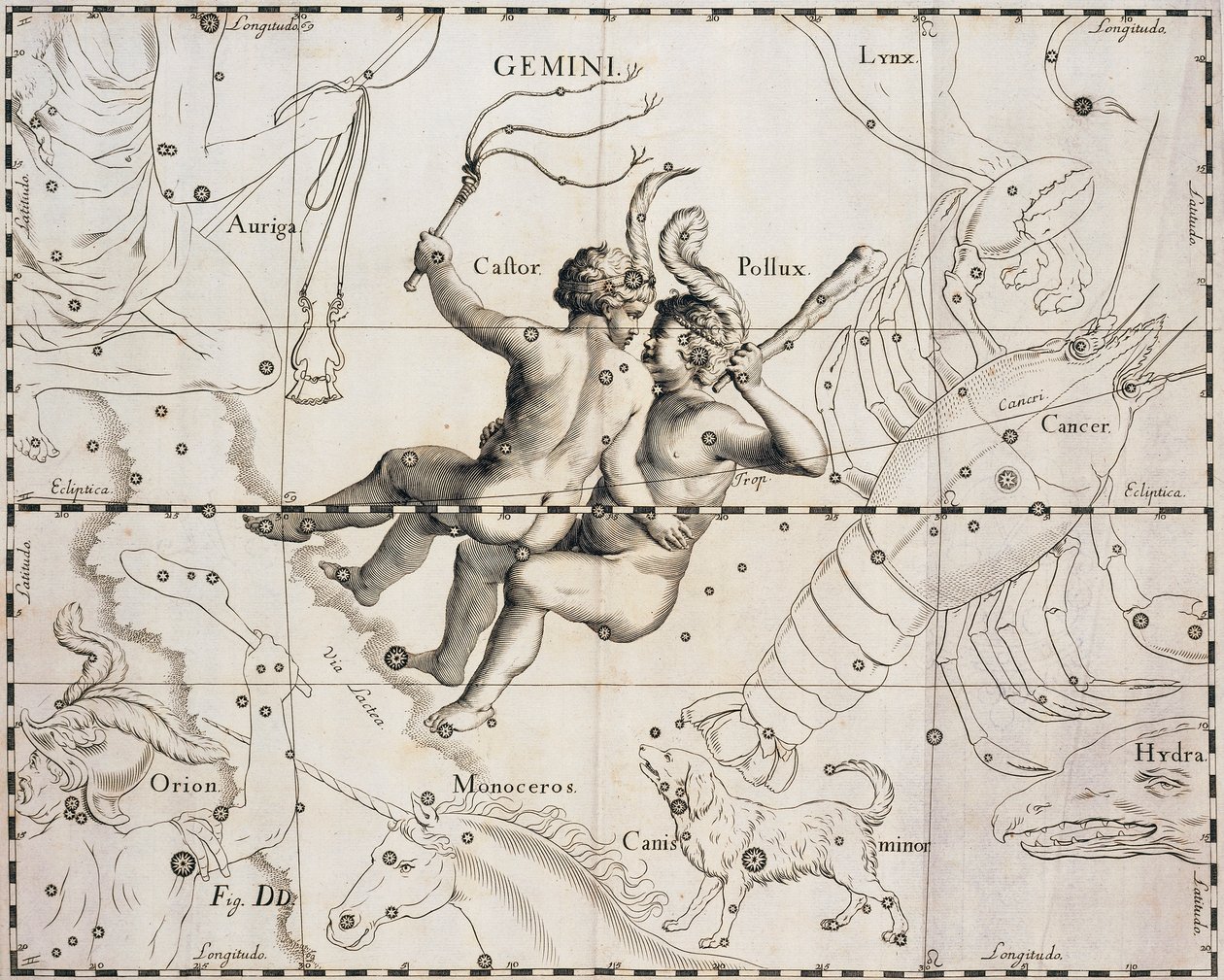 Az Ikrek csillagkép, Illusztráció a Firmamentum Sobiescianum sive Uranographia-ból, Johann Hevelius (1611-1687), Gdansk 1690 alkotó: Johannes Hevelius