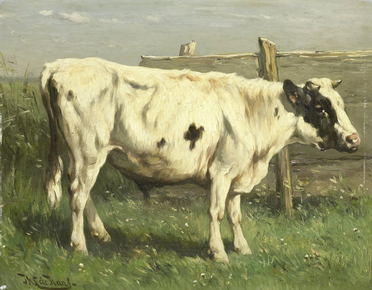 Fiatal Bika alkotó: Johannes Hubertus Leonardus de Haas