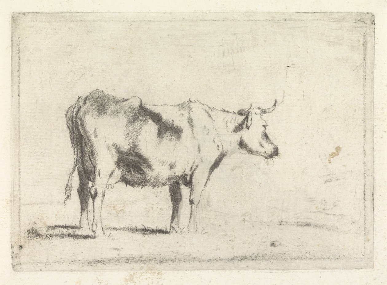 Tehén, jobbra alkotó: Johannes Janson (possibly)