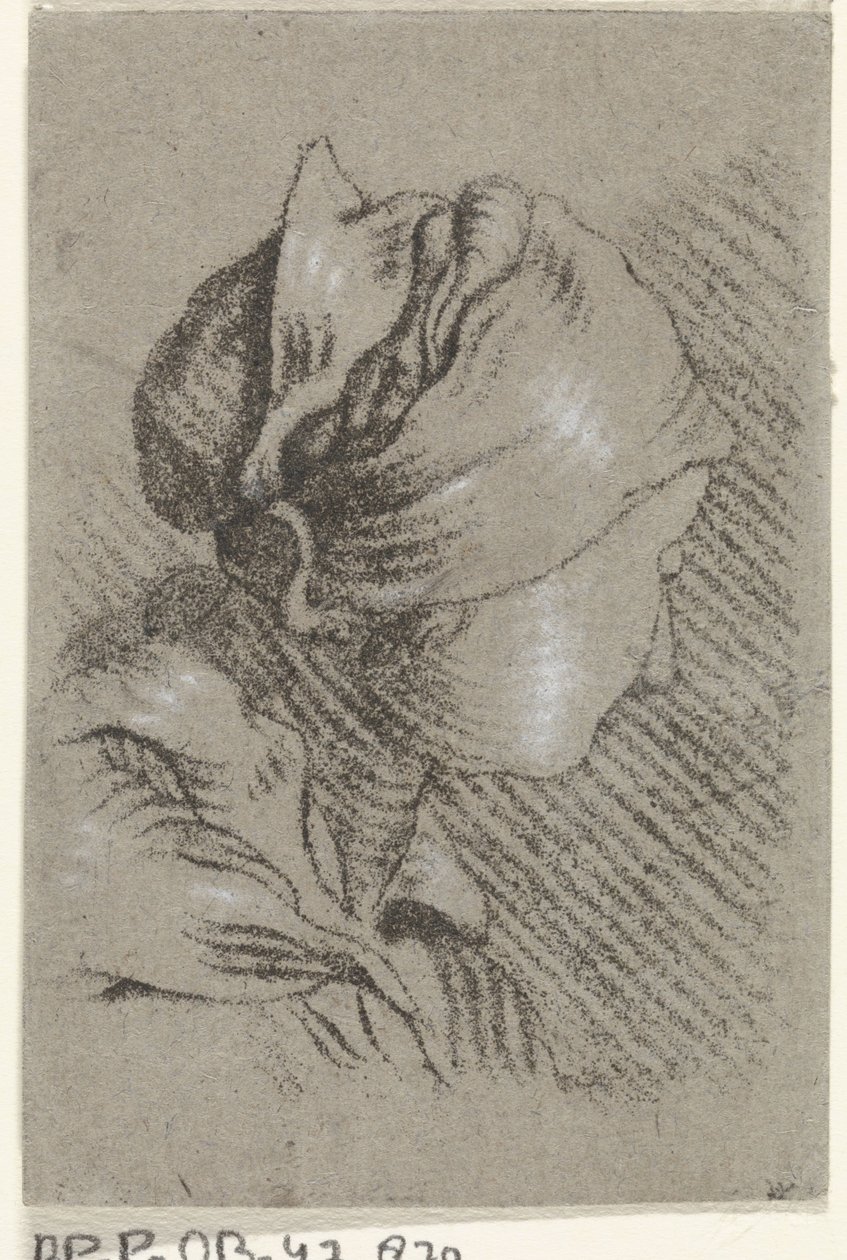 Női mellszobor alkotó: Johannes Janson (possibly)