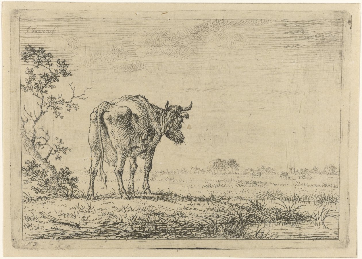 Tehén a legelőn alkotó: Johannes Janson