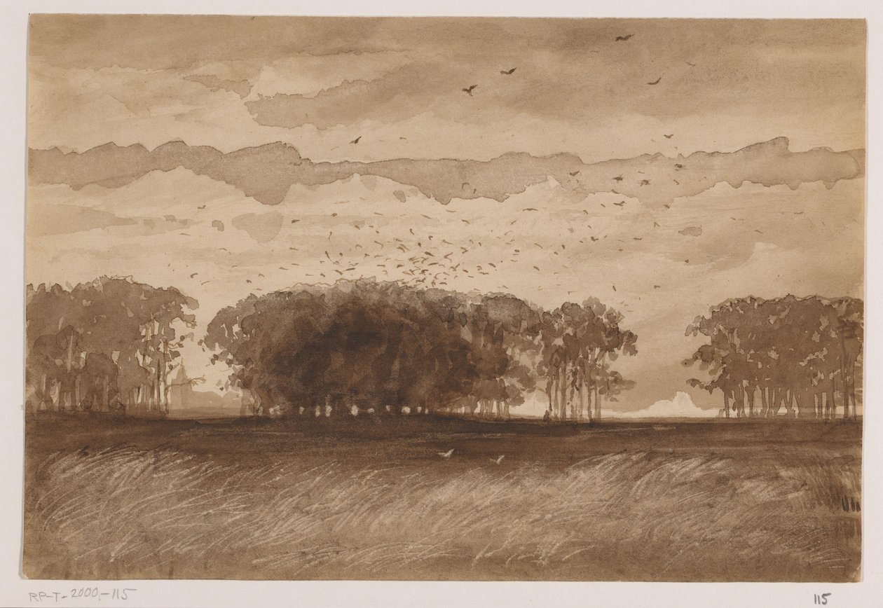 Rookery Észak-Brabantban alkotó: Johannes Tavenraat (signed by artist)