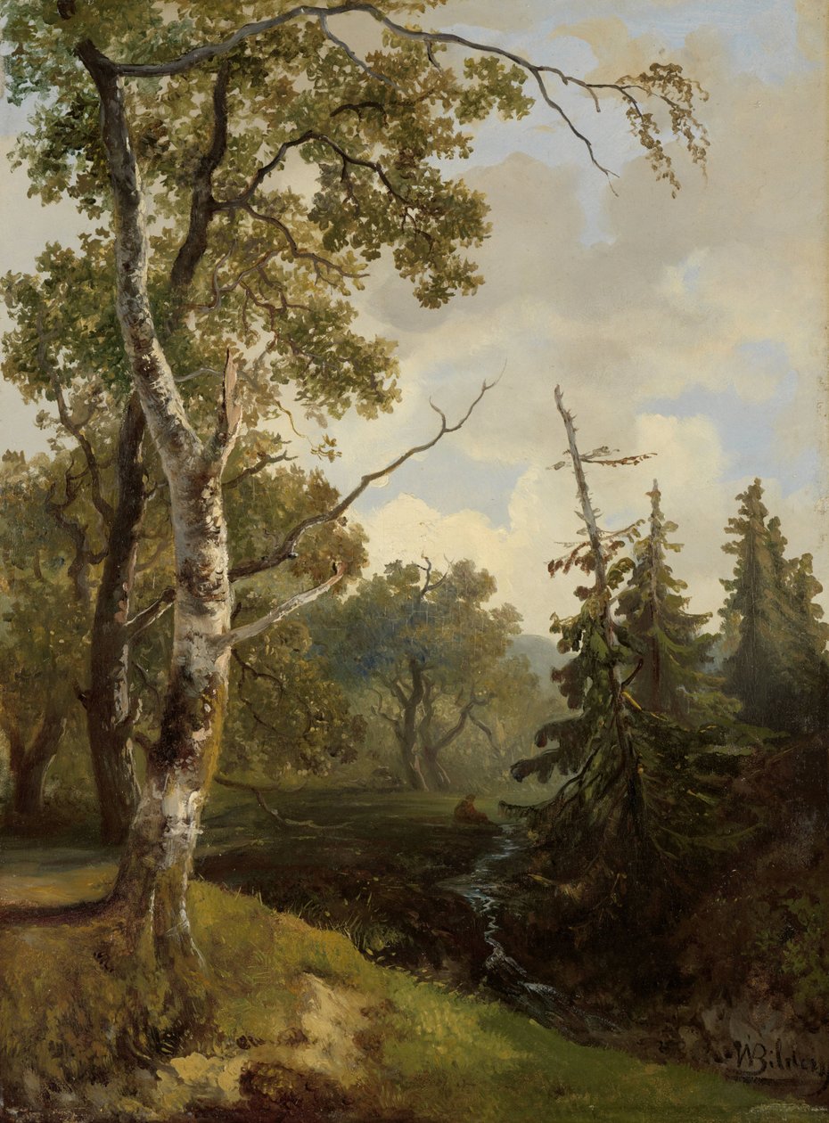 Erdei kilátás Wolfheze-nél. alkotó: Johannes Warnardus Bilders
