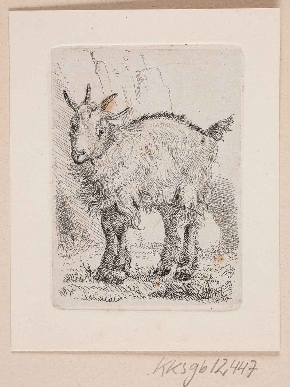 Egy kölyök kecske alkotó: Johannes Wilhelm Zillen