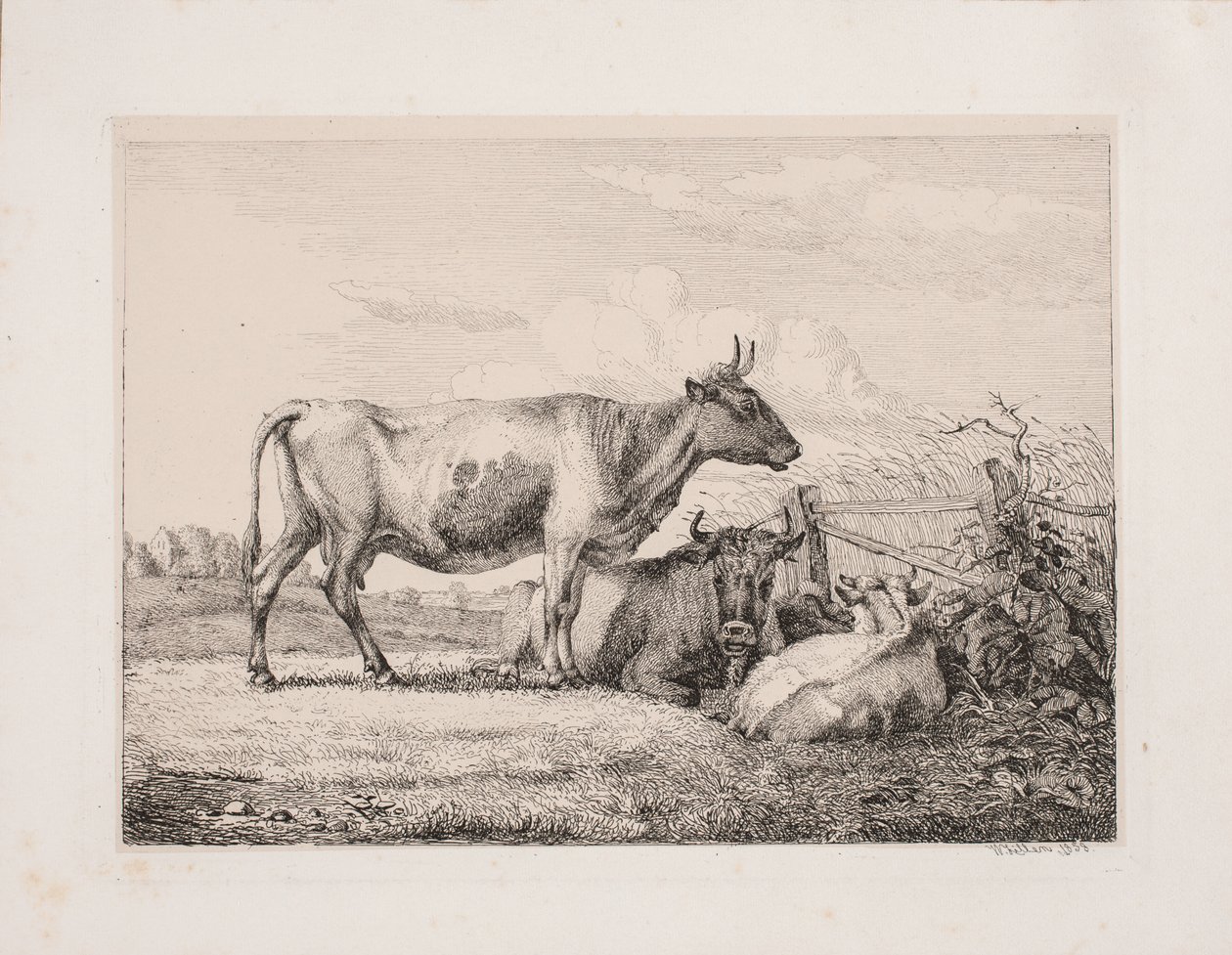 Tehenek a mezőn alkotó: Johannes Wilhelm Zillen