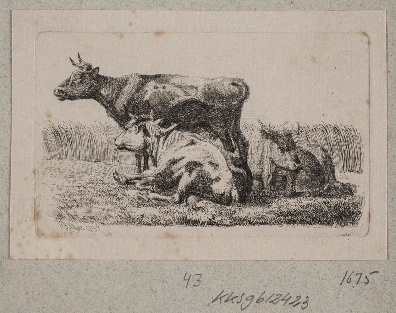 Három tehén alkotó: Johannes Wilhelm Zillen