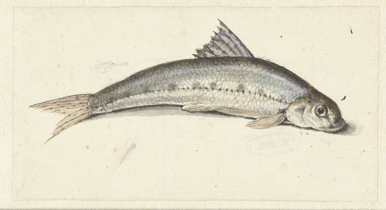 gondola alkotó: Johannes le Francq van Berkhey