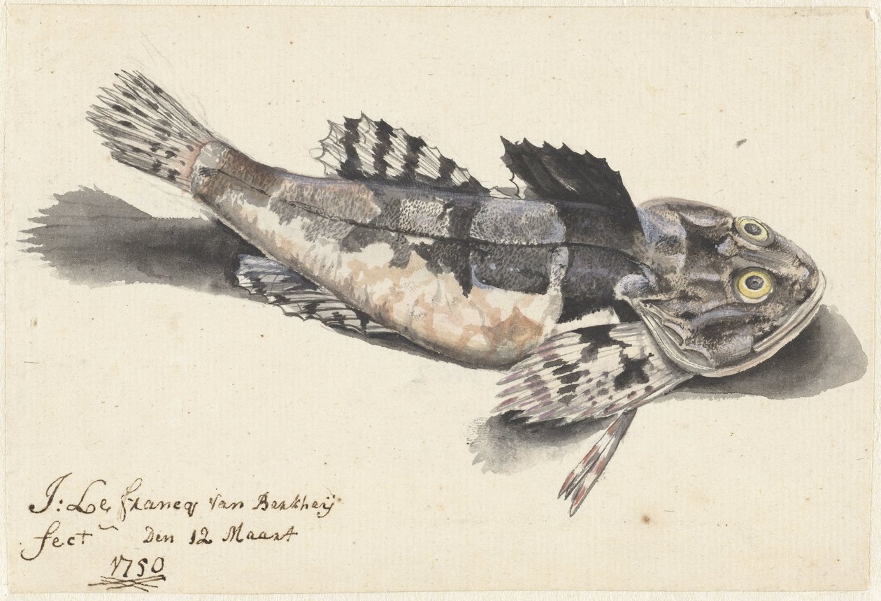 Tenger alatti út alkotó: Johannes le Francq van Berkhey